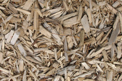 biomass boilers Tudeley